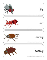 Giant word flashcards-Critters-1