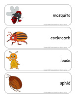 Giant word flashcards-Critters-2