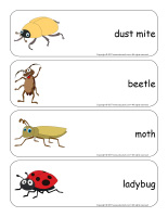 Giant word flashcards-Critters-3