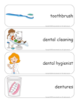 Giant word flashcards-Dental health-3