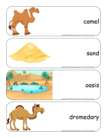 Giant word flashcards-Desert-1