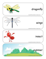 Giant word flashcards-Dragonflies-1