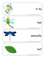 Giant word flashcards-Dragonflies-2