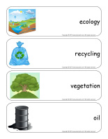 Giant word flashcards-Environment-2