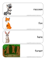 Giant word flashcards-Forest-3