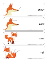 Giant word flashcards-Foxes-2