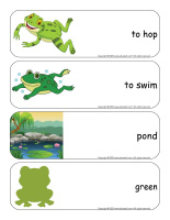 Giant-word-flashcards-Frogs-3