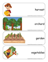Giant word flashcards-Harvest time-1