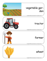 Giant word flashcards-Harvest time-2