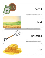Giant word flashcards-Harvest time-3