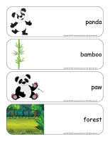 Giant word flashcards-Pandas-1