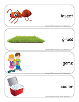 Giant word flashcards-Picnics-3