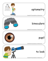 Giant word flashcards-Sense of sight-2