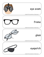 Giant word flashcards-Sense of sight-3