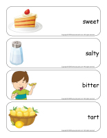 Giant word flashcards-Sense of taste-2