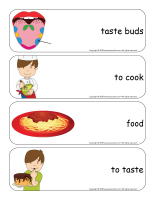 Giant word flashcards-Sense of taste-3