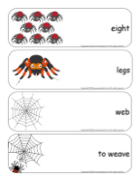 Giant word flashcards-Spiders-1