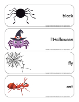 Giant word flashcards-Spiders-2