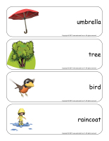 Giant word flashcards-Spring-2