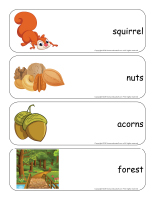 Giant word flashcards-Squirrels-1