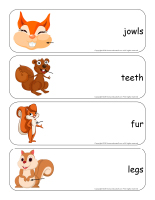 Giant word flashcards-Squirrels-2