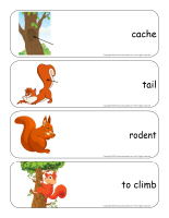 Giant word flashcards-Squirrels-3