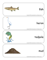 Giant word flashcards-Swamps-2