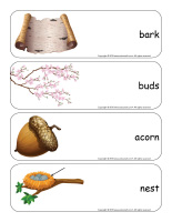 Giant word flashcards-Trees-2