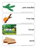 Giant word flashcards-Trees-3