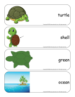Giant word flashcards-Turtles-1
