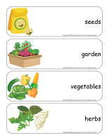 Giant word flashcards-Vegetable garden-2