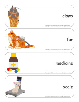 Giant word flashcards-Veterinarians-1