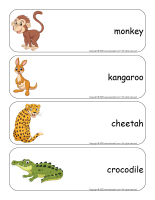 Giant word flashcards-Zoo-2