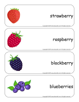 Giants word flashcards-Berries-1