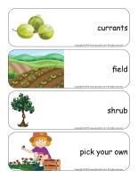 Giants word flashcards-Berries-2