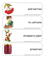 Giants word flashcards-Berries-3