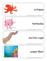 Giantword flashcards-Octopuses-1