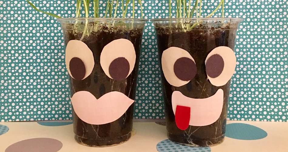 Grass Heads Using Plastic Cups