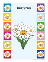 Group identification-Daisies