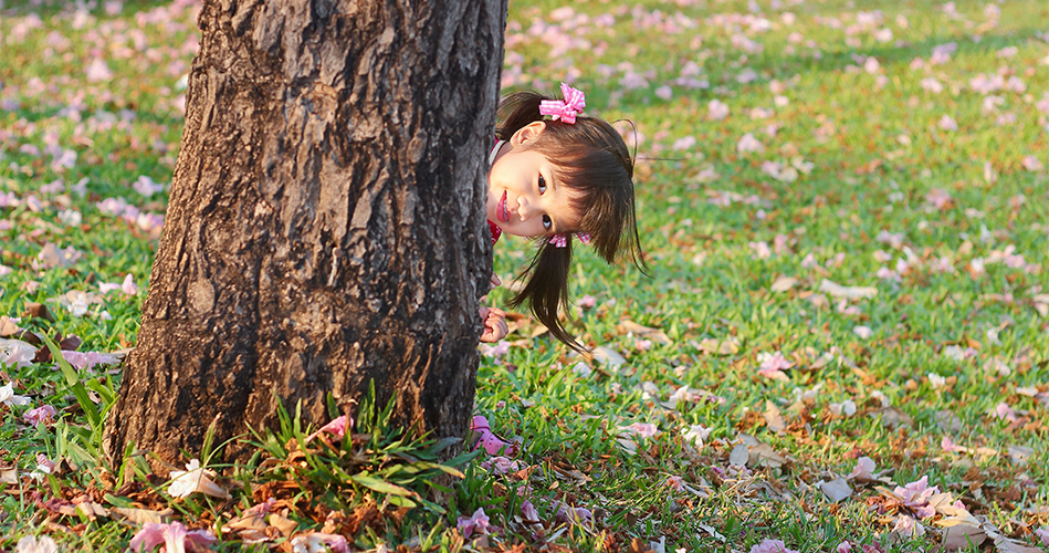 Spring Flowers Hide and Seek Game —