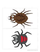 I am inventing my spider