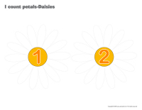 I count petals-Daisies