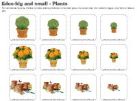 Educ-big-and-small-Plants