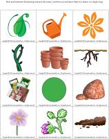 Magnifying-glass-game-Plants