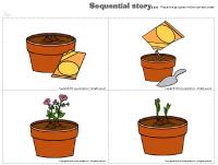 Sequential-story-Flowers