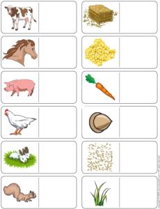 Farm Animals- Association game