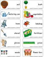 Word flashcards - The garden