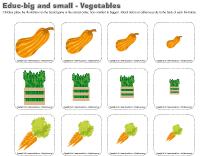 Educ big and small - Vegetables