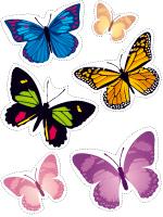 Educa-decorate - Butterflies