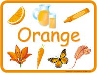 Educ-poster - Orange Educ-poster - Orange